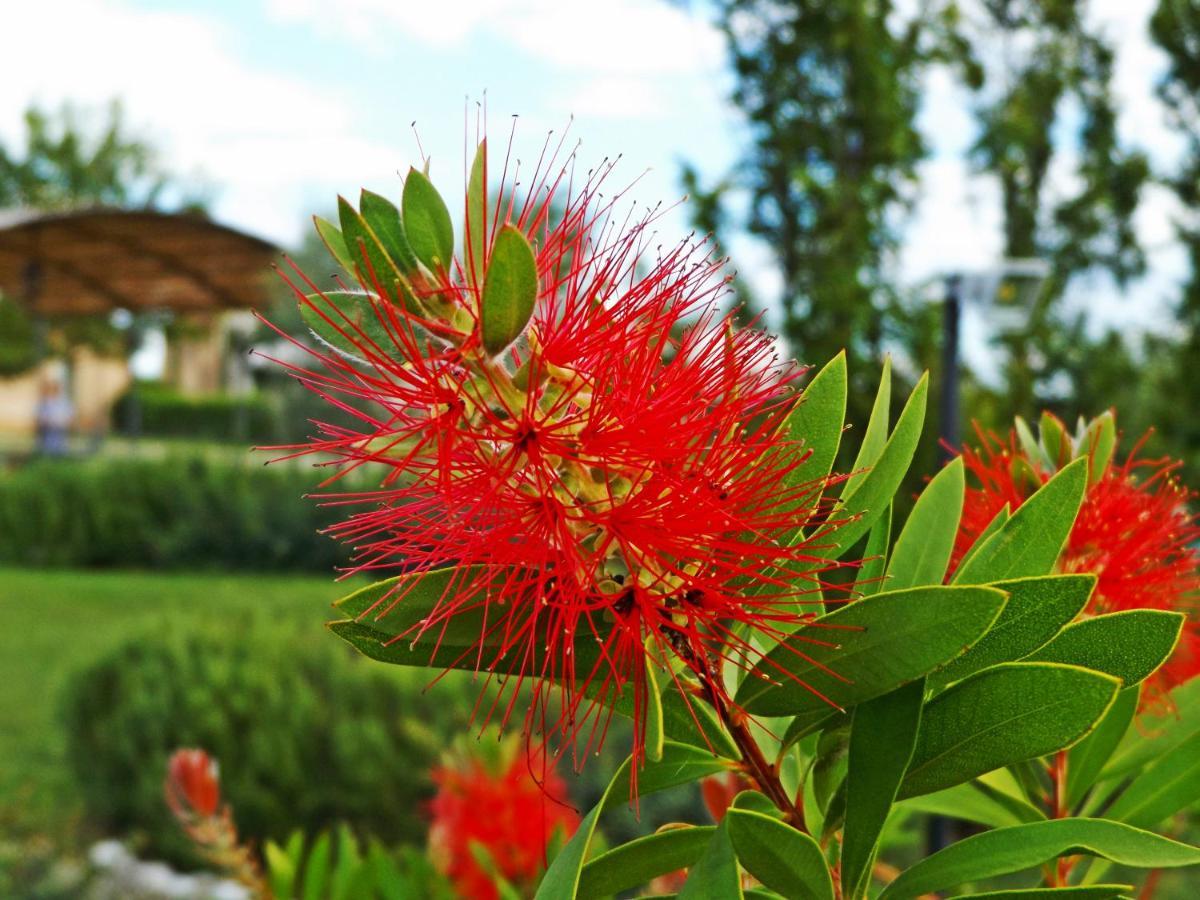 Casa Vacanze La Fiorita Cortona Zimmer foto